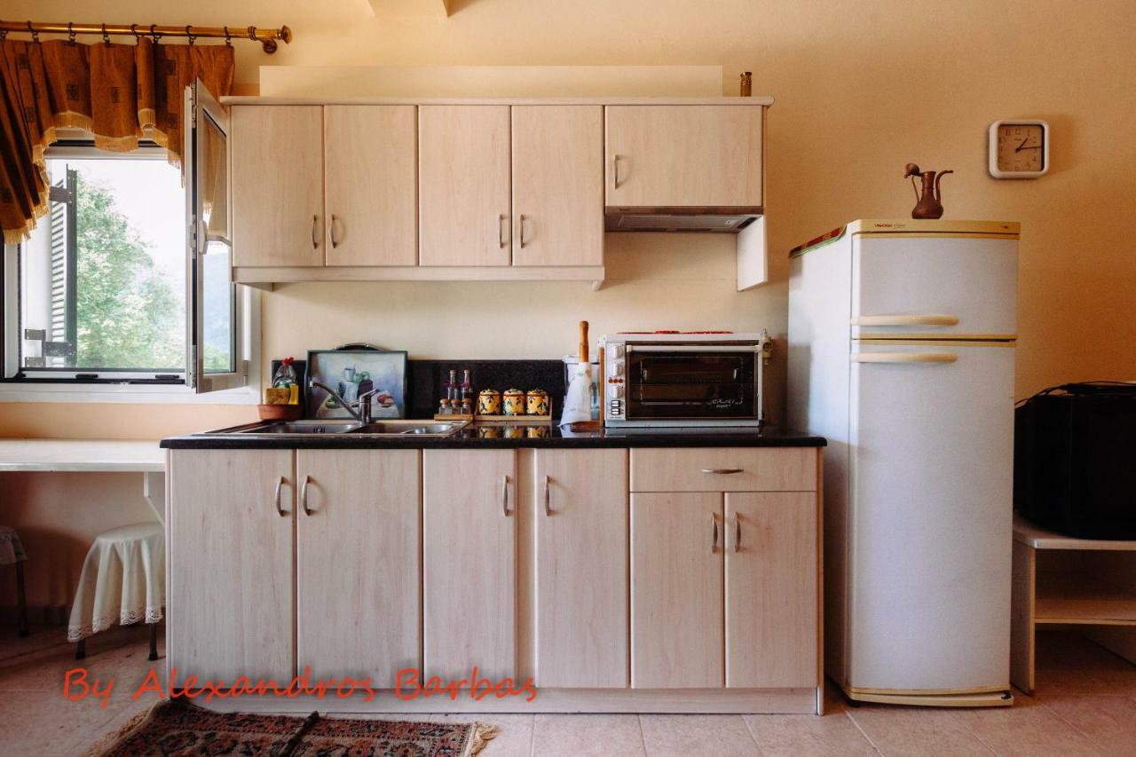 Bourikos House Corfu Apartment Ano Korakiana ภายนอก รูปภาพ